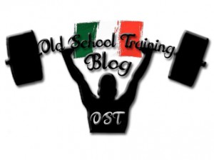 Logo OST Blog